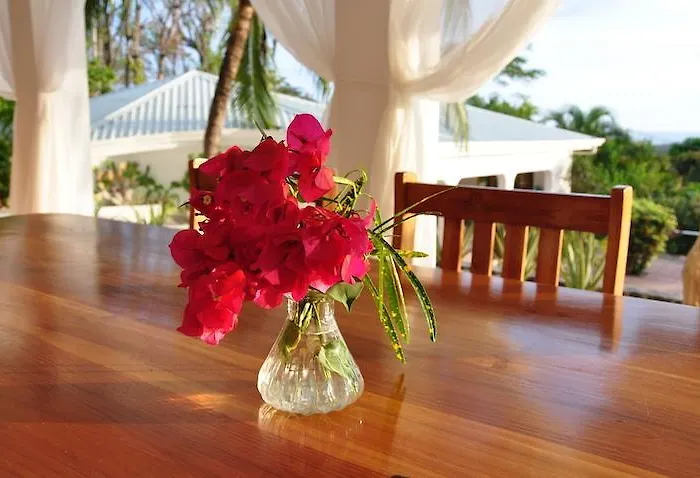 Bella Vista Mar Bed and breakfast